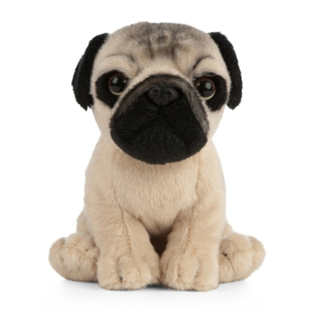 Soft Toys